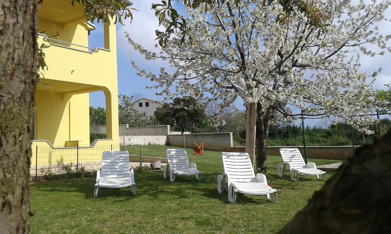 Guest House Mia Vinkuran